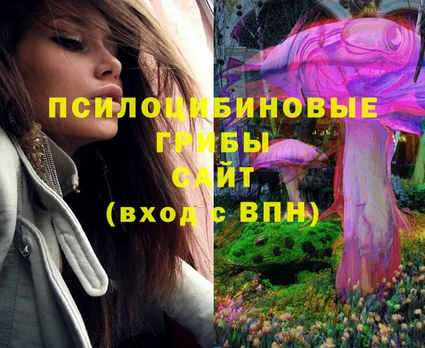 ECSTASY Армянск